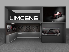 LIMGENE设计方案