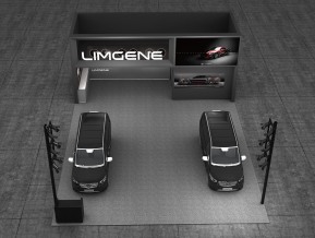 LIMGENE设计方案