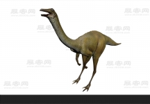 恐龙3D模型