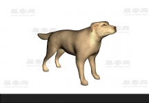 狗3D模型