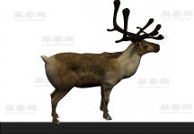 鹿3D模型