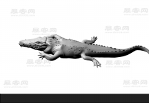 鳄鱼3D模型