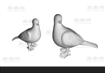 鸽子3D模型