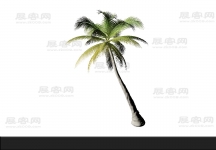椰子树 3d模型