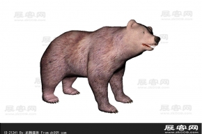 熊3D模型