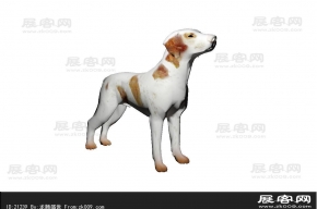 狗3D模型