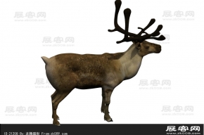 鹿3D模型