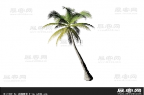 椰子树 3d模型